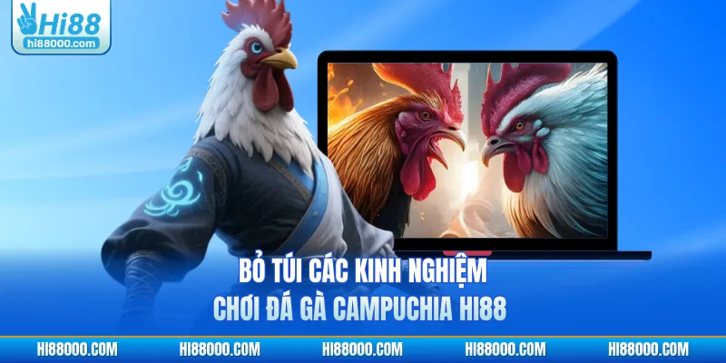 Bỏ túi các kinh nghiệm chơi đá gà Campuchia HI88