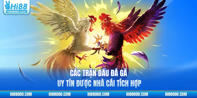 Các trận đấu đá gà uy tín được nhà cái tích hợp