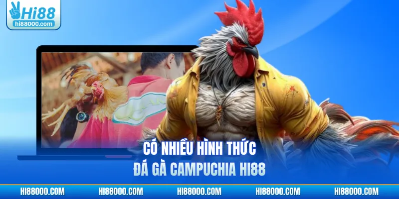 Có nhiều hình thức đá gà Campuchia HI88