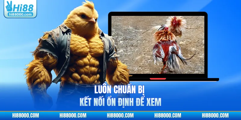 Luôn chuẩn bị kết nối ổn định để xem
