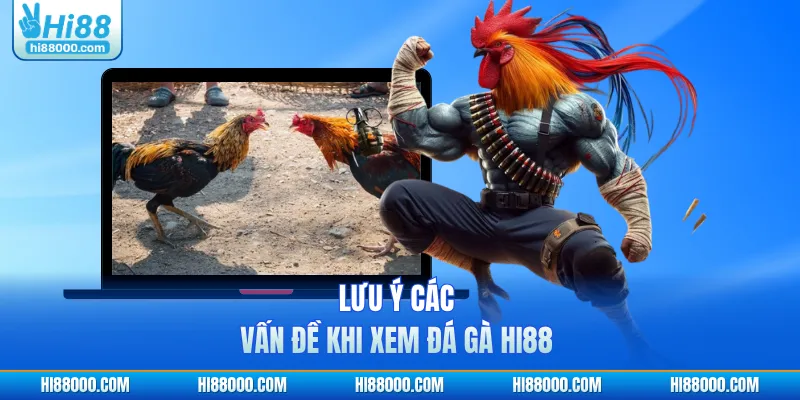 Lưu ý các vấn đề khi xem đá gà HI88