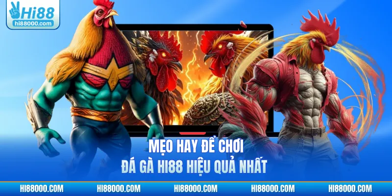 Mẹo hay để chơi đá gà HI88 hiệu quả nhất