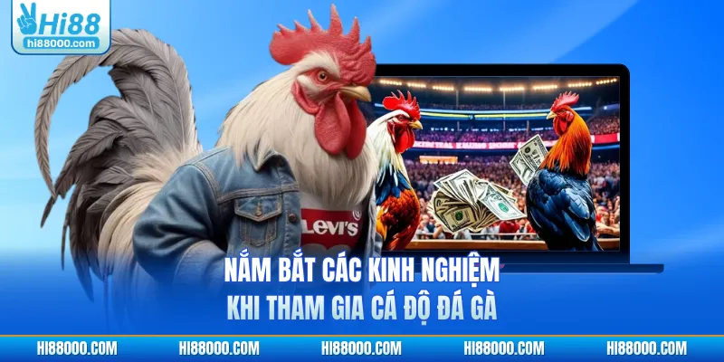 Nắm bắt các kinh nghiệm khi tham gia cá độ đá gà