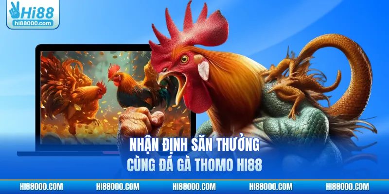 Nhận định săn thưởng cùng đá gà Thomo HI88