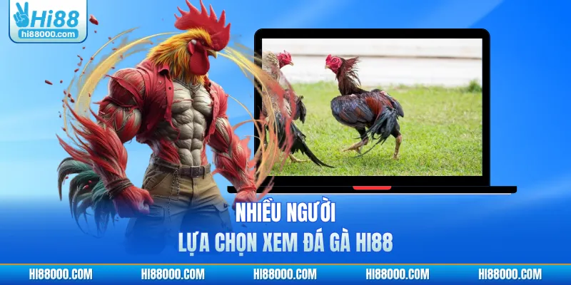 Nhiều người lựa chọn xem đá gà HI88