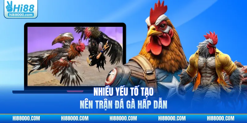Nhiều yếu tố tạo nên trận đá gà hấp dẫn