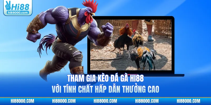 Tham gia kèo đá gà HI88 với tính chất hấp dẫn thưởng cao