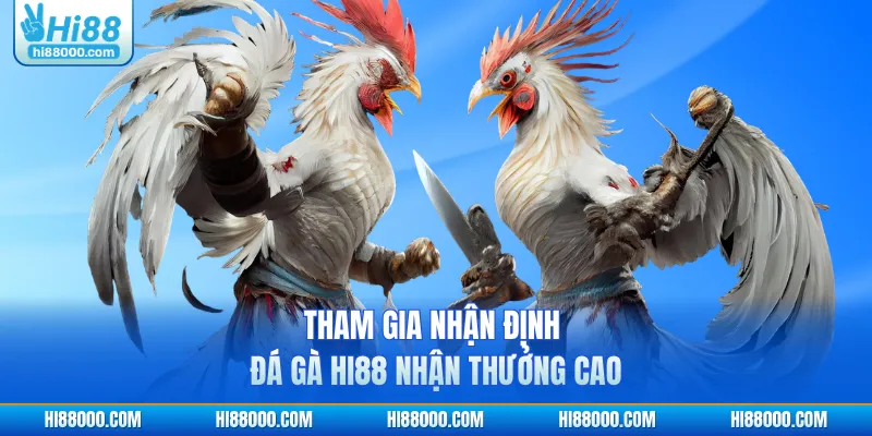 Tham gia nhận định đá gà HI88 nhận thưởng cao